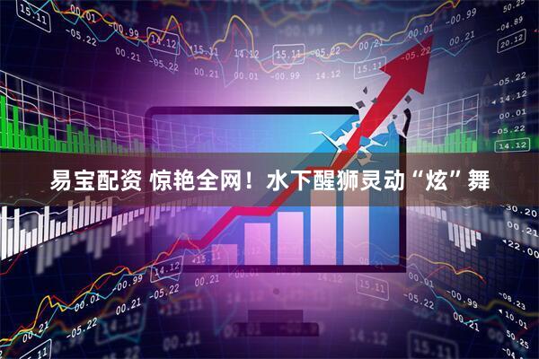 易宝配资 惊艳全网！水下醒狮灵动“炫”舞