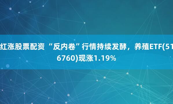 红涨股票配资 “反内卷”行情持续发酵，养殖ETF(516760)现涨1.19%