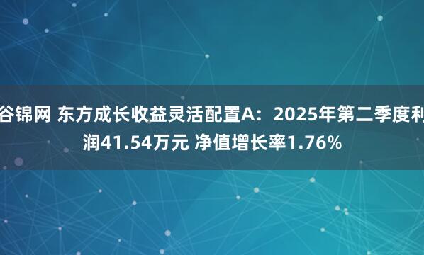 谷锦网 东方成长收益灵活配置A：2025年第二季度利润41.54万元 净值增长率1.76%
