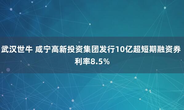 武汉世牛 咸宁高新投资集团发行10亿超短期融资券 利率8.5%