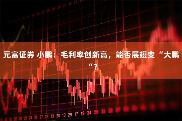 元富证券 小鹏：毛利率创新高，能否展翅变 “大鹏 “？