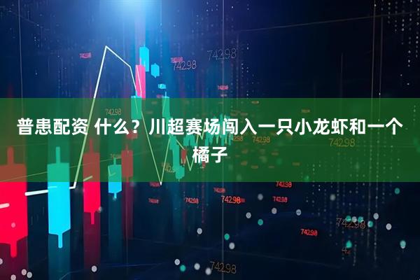 普患配资 什么？川超赛场闯入一只小龙虾和一个橘子
