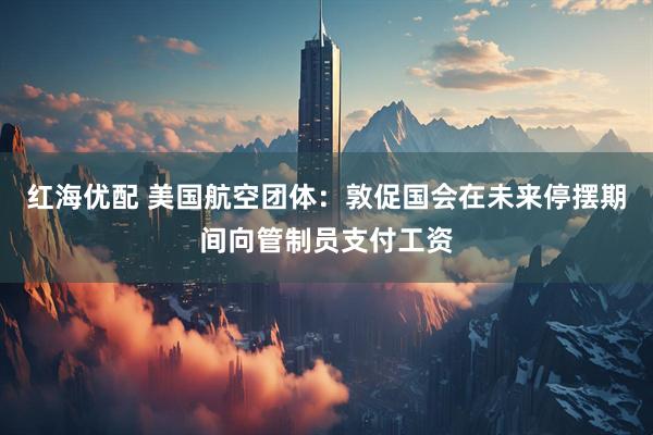 红海优配 美国航空团体：敦促国会在未来停摆期间向管制员支付工资