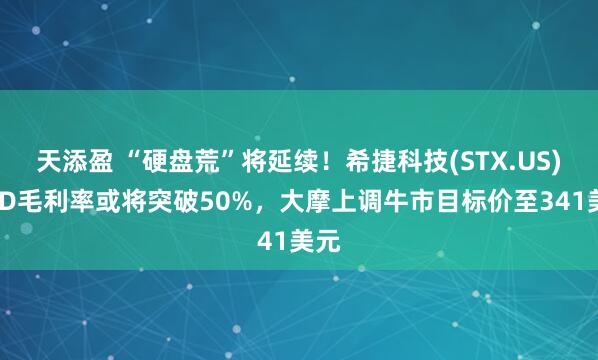 天添盈 “硬盘荒”将延续！希捷科技(STX.US)HDD毛利率或将突破50%，大摩上调牛市目标价至341美元